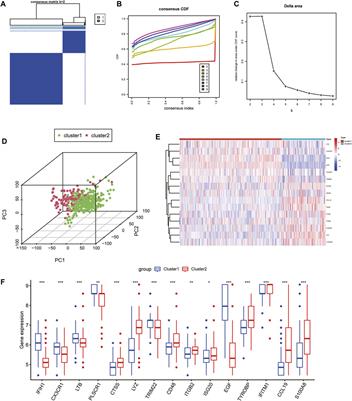 Identification of immune-related molecular clusters and diagnostic markers in chronic kidney disease based on cluster analysis